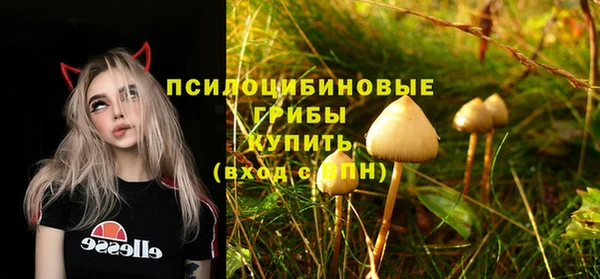 альфа пвп Армянск