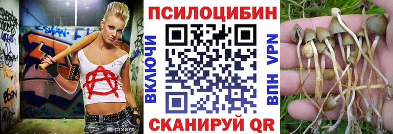 Псилоцибиновые грибы GOLDEN TEACHER  магазин продажи наркотиков  Кушва 