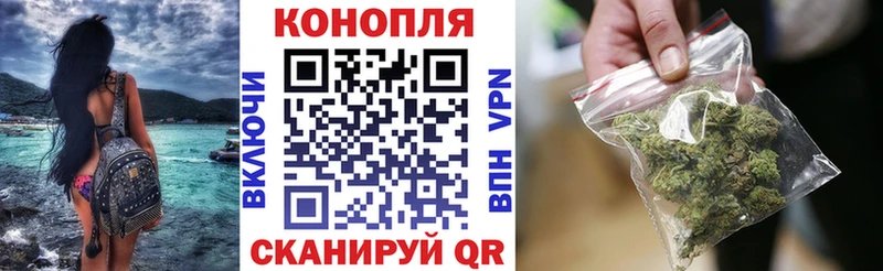 мориарти как зайти  Кушва  Марихуана семена 