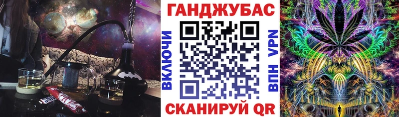 Конопля сатива Кушва